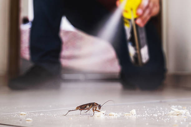 Reliable Oakland, OR Pest Control Solutions